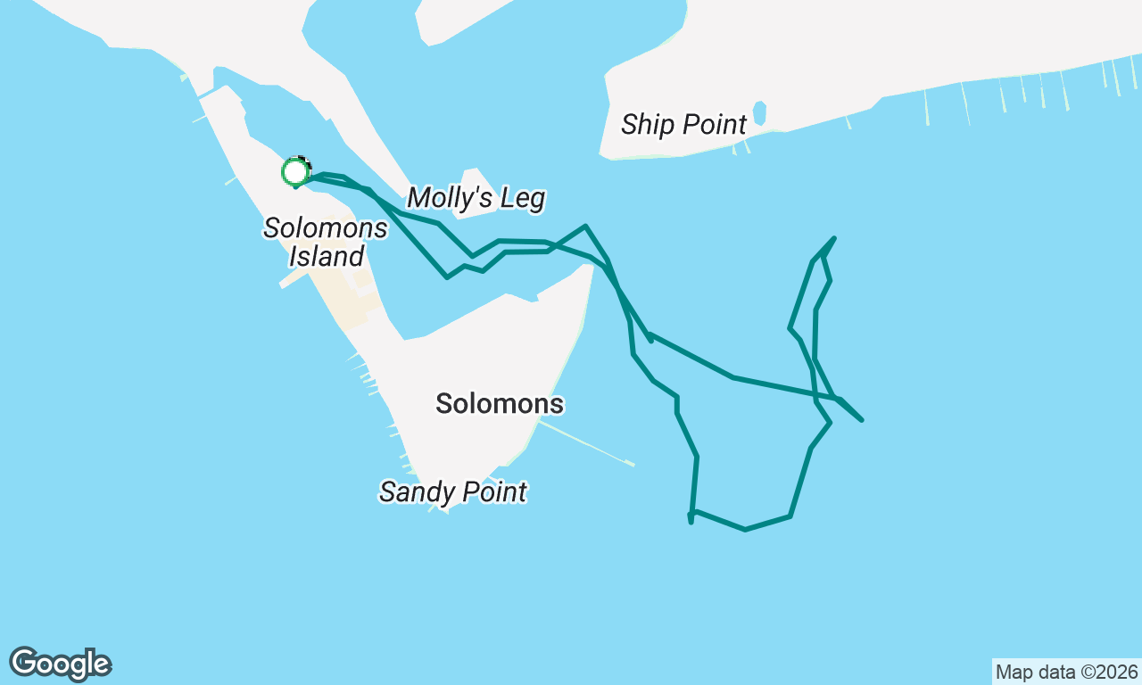 Sunday Laser sail wind @ 1-3knots.