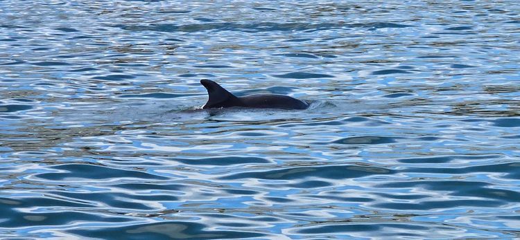 Voyage photo from sp4 with Bret on 659/648