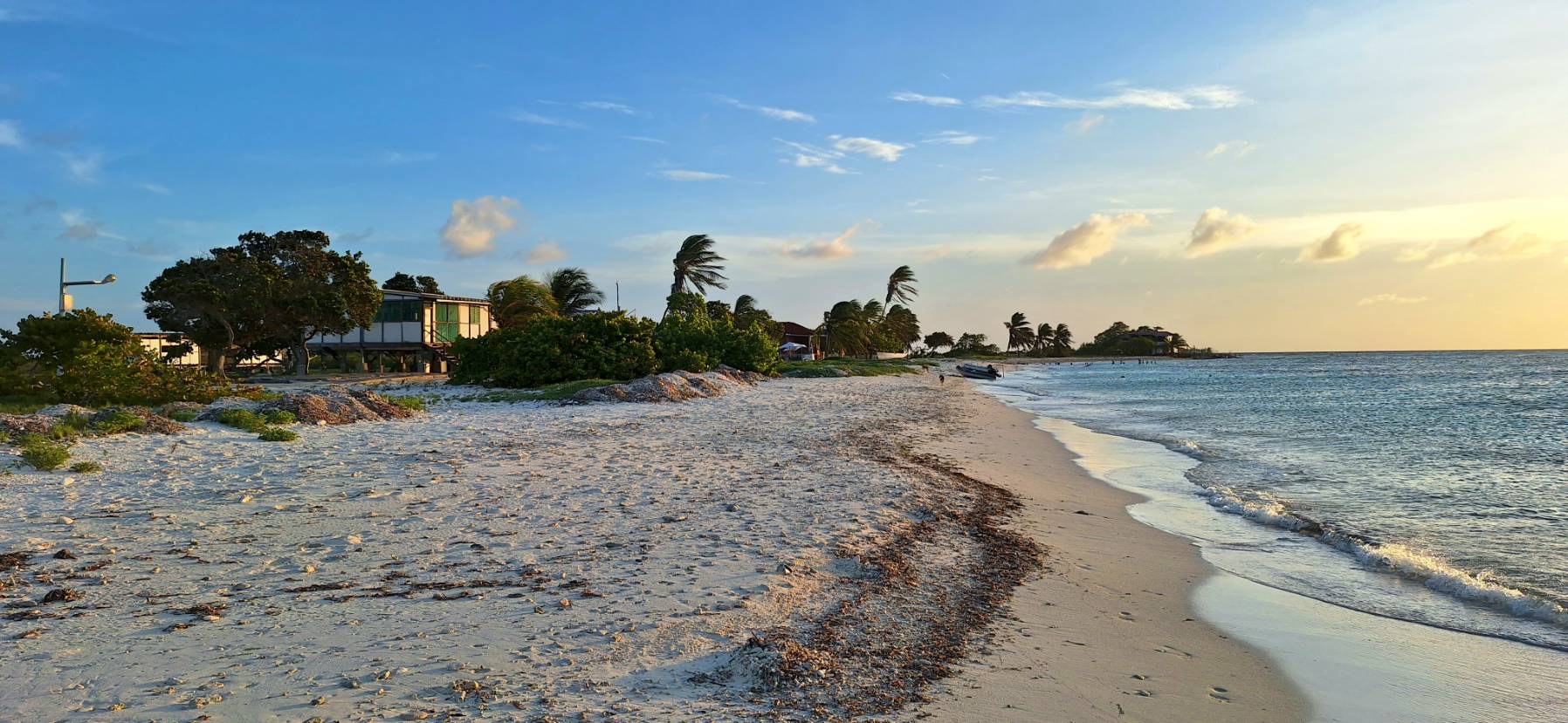 Cayo de Aqua (Los Roques) to Aves de Barlovento _CED1EAC5-0FB9-4A26-BA70-10FE75956BBA