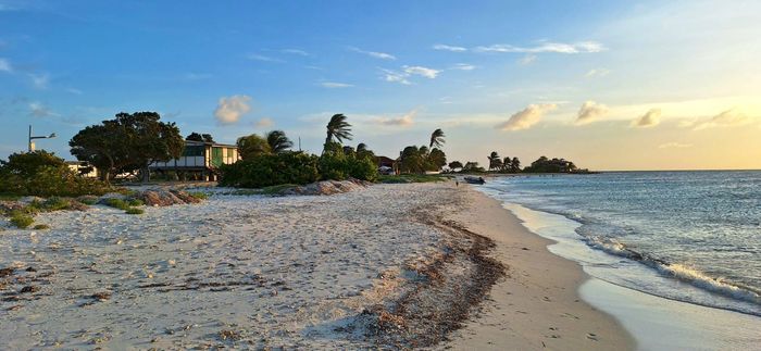 Voyage photo from Cayo de Aqua (Los Roques) to Aves de Barlovento 