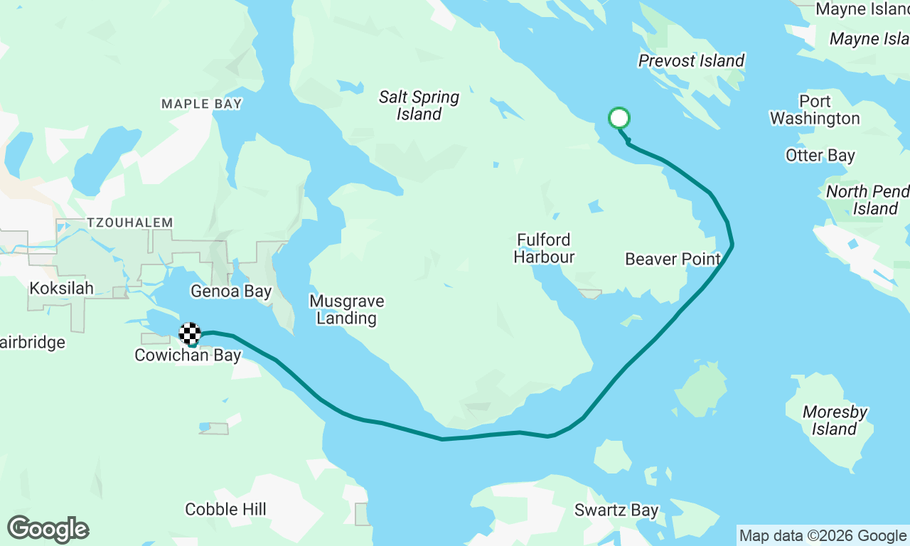 Cow bay delivery 
