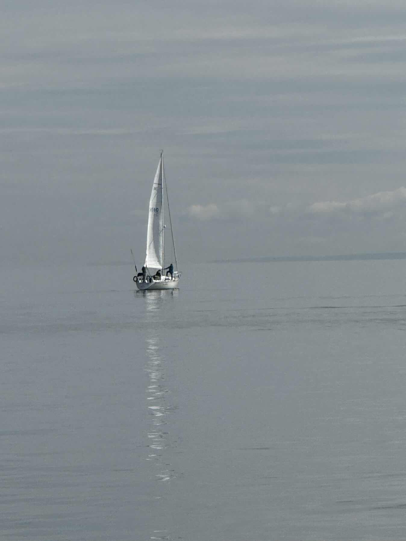 Voyage_A4662C9D-AB5C-483B-9821-1F40B113325F