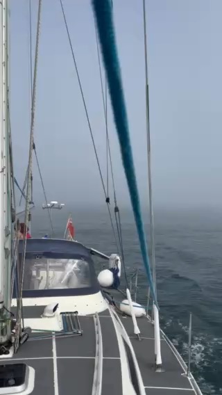 Wales, Ireland, Isle of Scilly and Cornwall 2025_93846819-AD80-4A94-9CF4-52DC9A93A14A