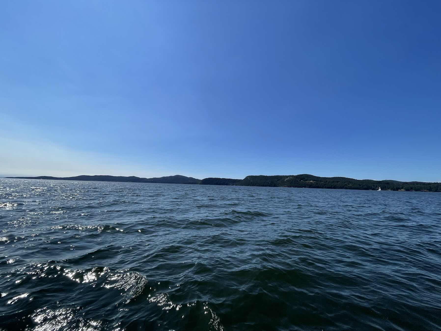 Winter Cove - Clam Bay _D27924E1-71B1-4CAA-9B25-617D1ACF0B9A