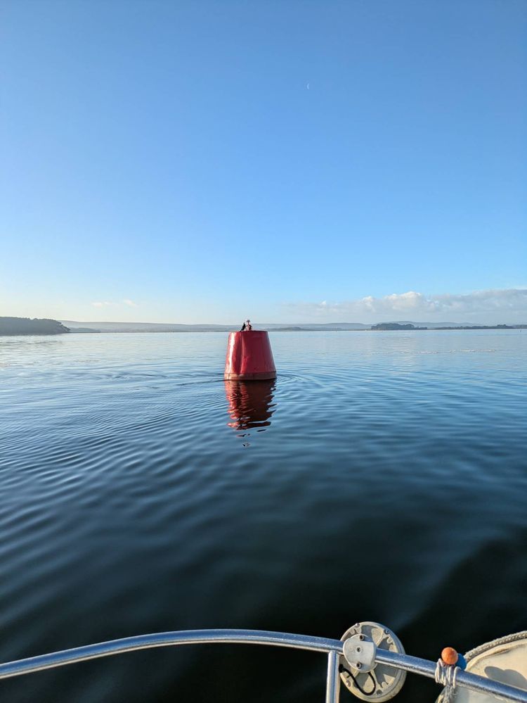 Voyage photo from To a buoy for fishing