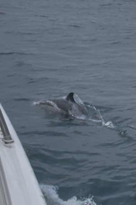 Morgat to Audierne _51A92D5D-D25F-4994-AD8F-F029A49AB331