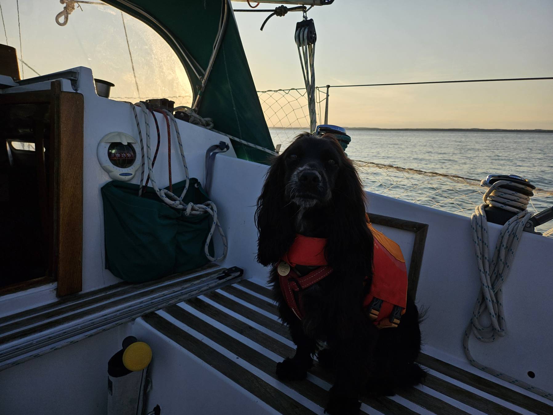 Voyage_D75E4A15-8F28-4CFA-9484-F51CF194C685