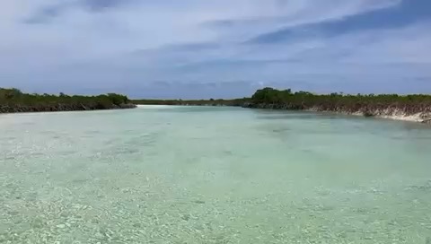 Exumas 5/25 _798E8827-B098-492C-B4DC-E7B3AED3964A