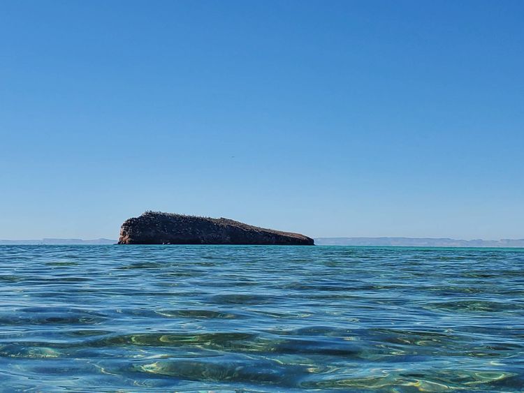 Voyage photo from Ensenada del Candelero-Isla San Francisco