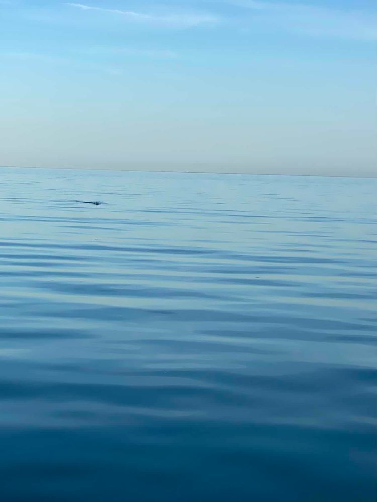 Voyage photo from Alderney to Yarmouth