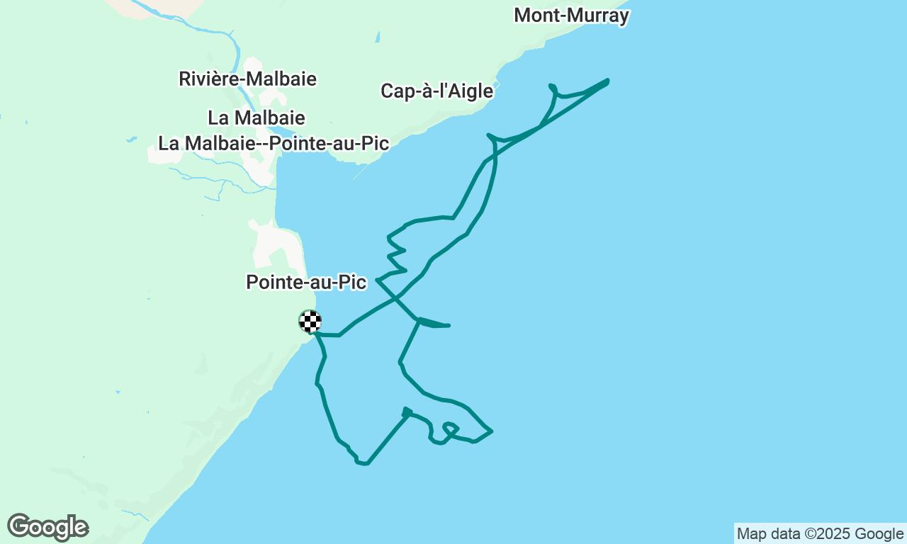 Perfectionnement avec Mercator