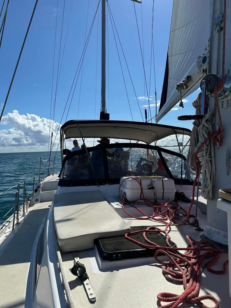 Voyage photo from Unexpected Pleasure 