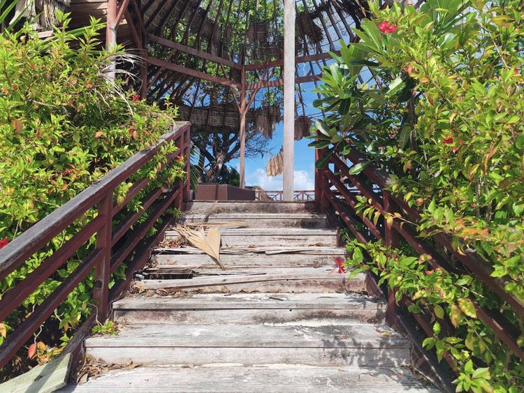 Voyage photo from Mahe to Praslin