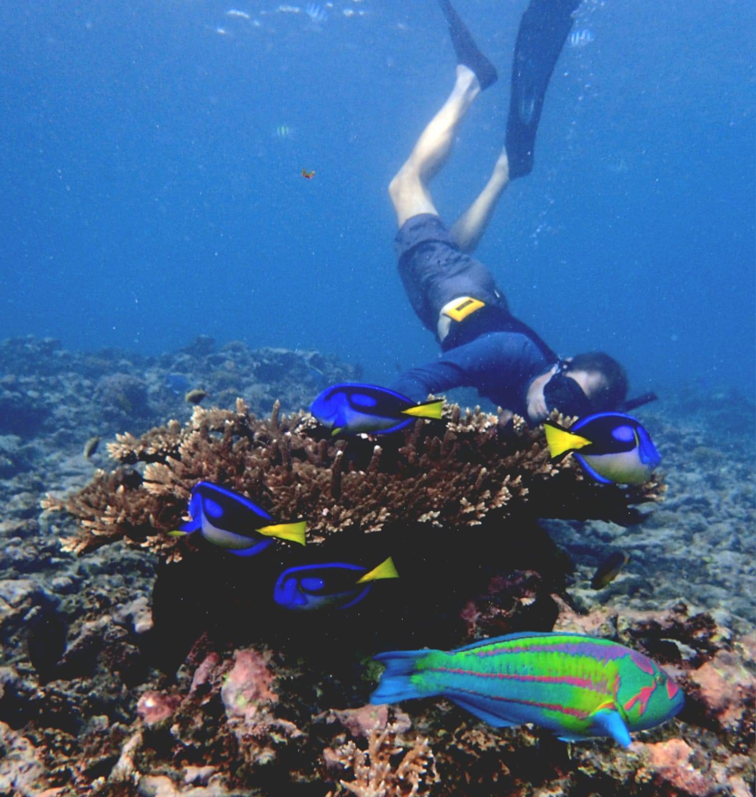 Felicity to Anse Lazio_02199850-1AA7-4547-B150-6C5970B269F4