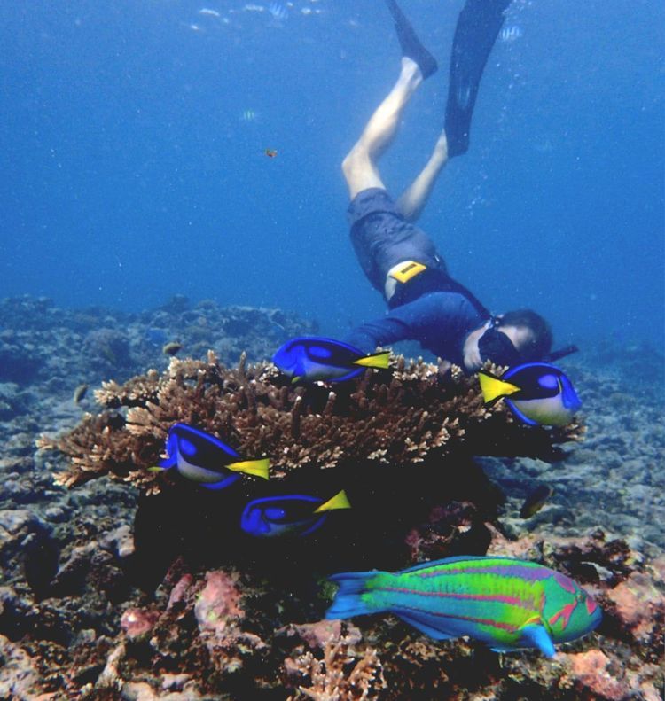 Voyage photo from Felicity to Anse Lazio