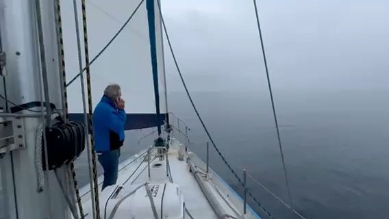 Voyage photo from 202511 Rejs Niepodległości 