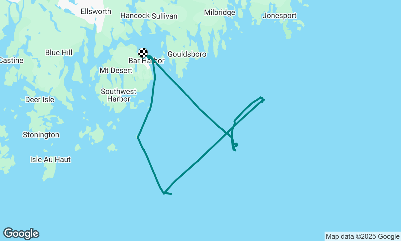 Islands & Whales!