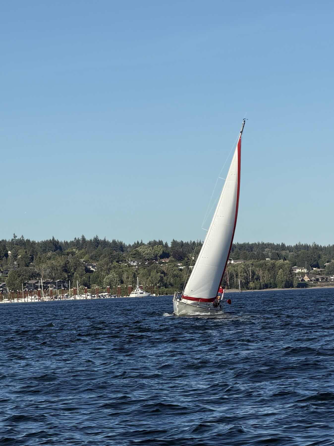 Wednesday Night Sail_F2845D79-4419-4A17-85F4-E0B9F4570E84