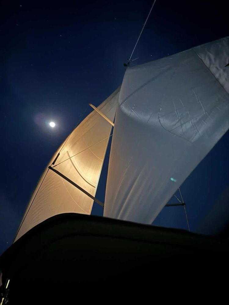 Voyage photo from New Years Eve