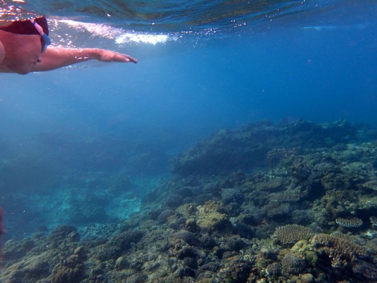 Voyage photo from extramile.org.za Seychelles 2025