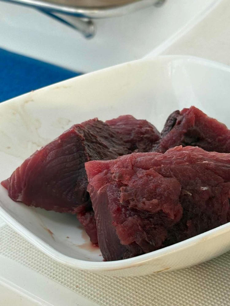 Voyage photo from Suakin to Djibouti 