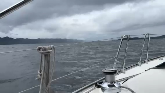 JibSet RRR 2026 Day 11
Port Hardy to Bull Harbour_07D28880-6C5F-4D21-832B-7143C841B82C