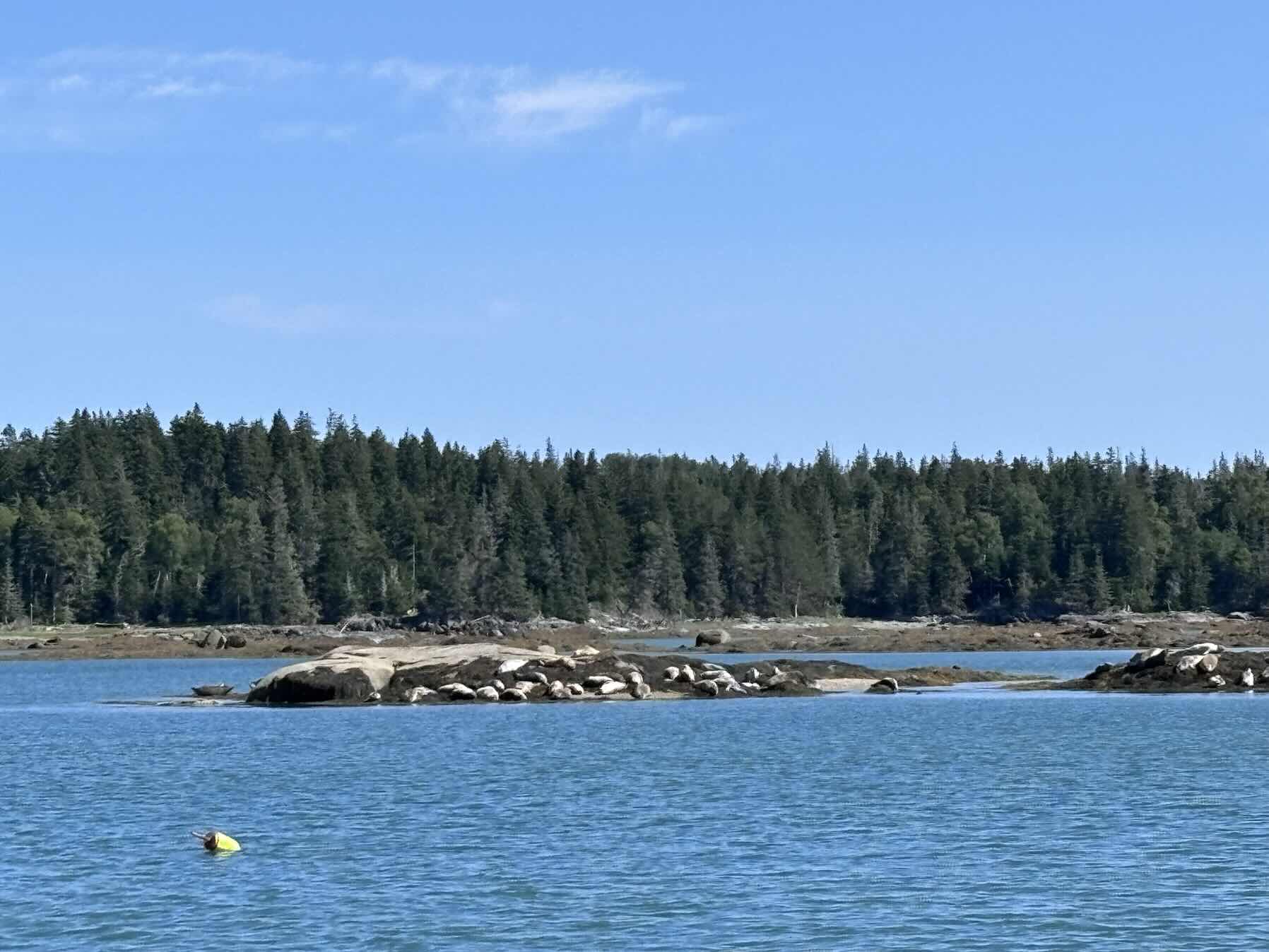 Castine to Seal Bay_95B72995-483C-45E1-A378-40ADEB1CA358