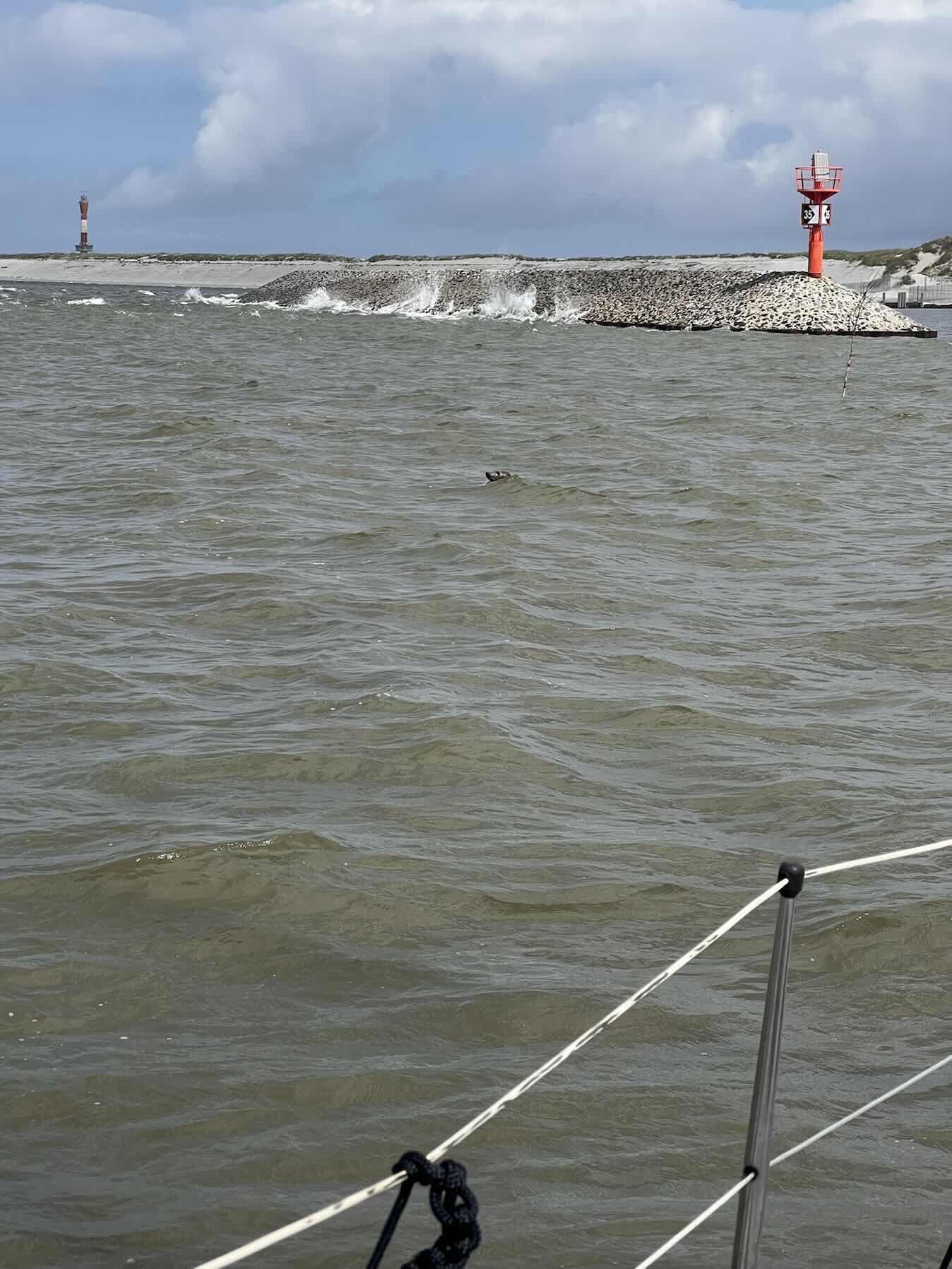 Across the Wadden Sea 2025_4A64BE58-21EB-47E6-8066-48B0A0ECB2C9