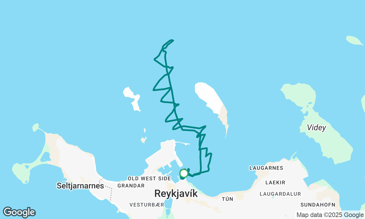 Síðdegissigling