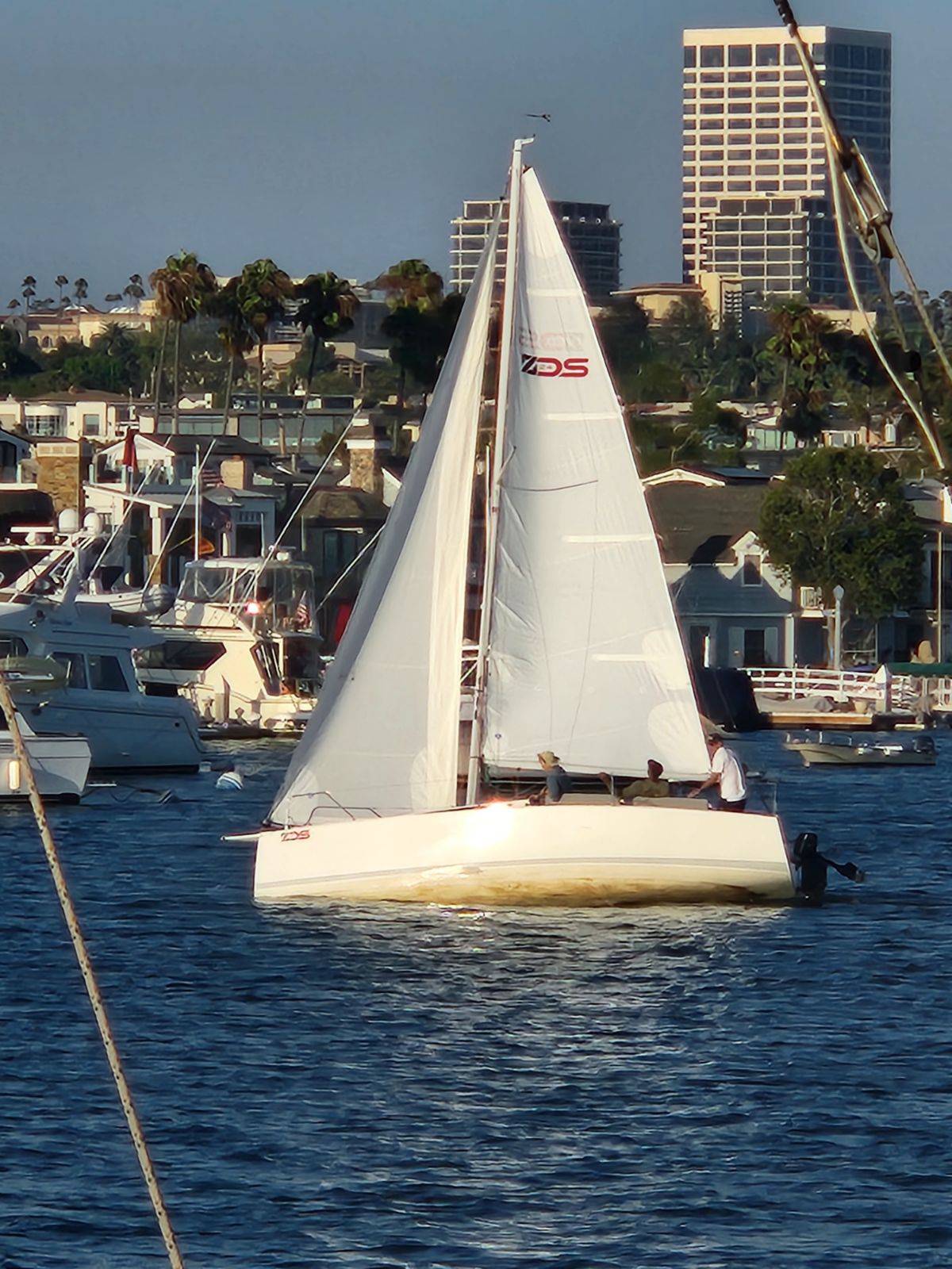 BYC Beercans_3D159B9B-6163-4B2B-98A1-F12822CFBDC7