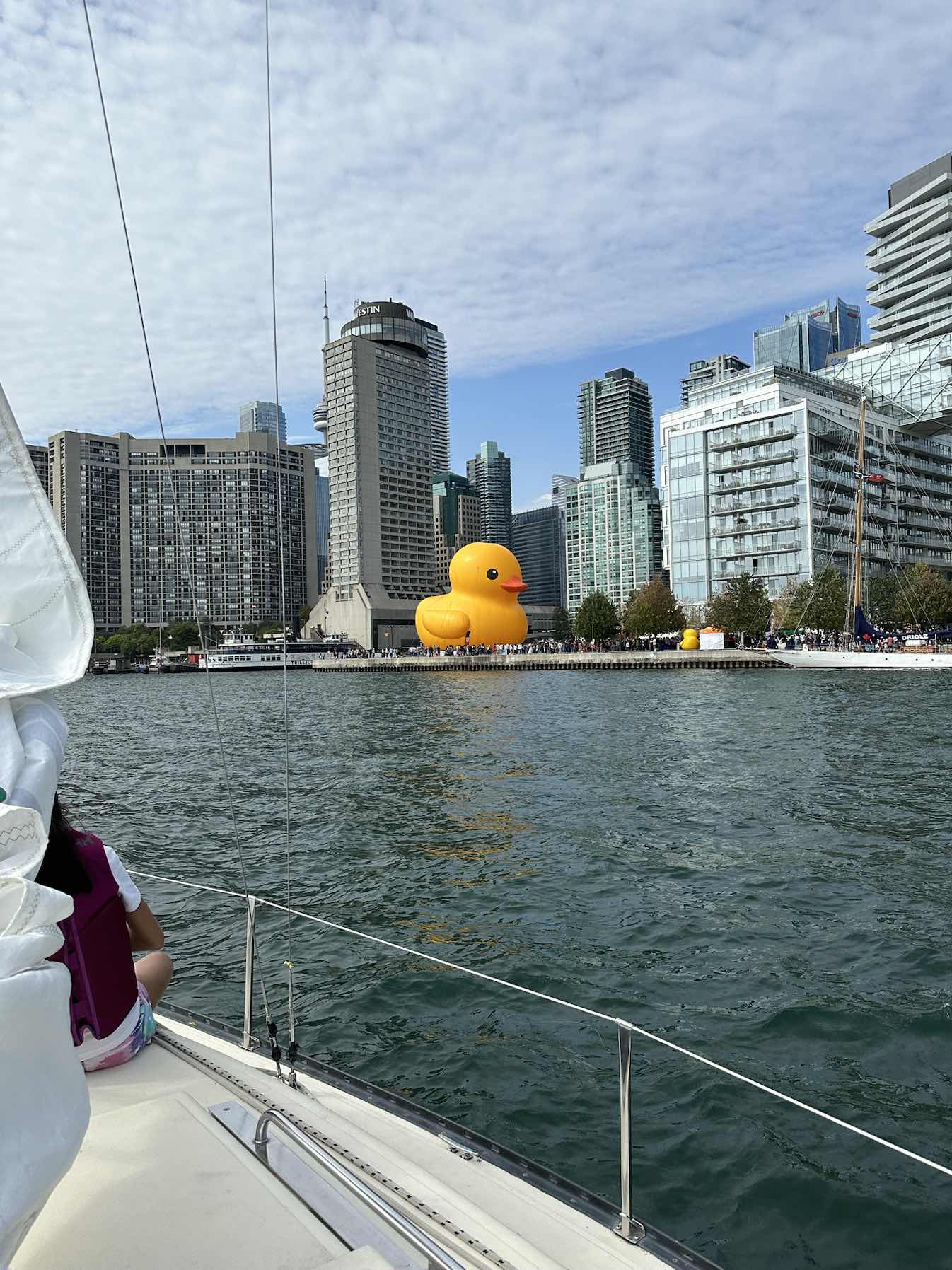 Sail BCDE 20230917_D8A123ED-E2A6-4A39-9D39-C8B46C66D452