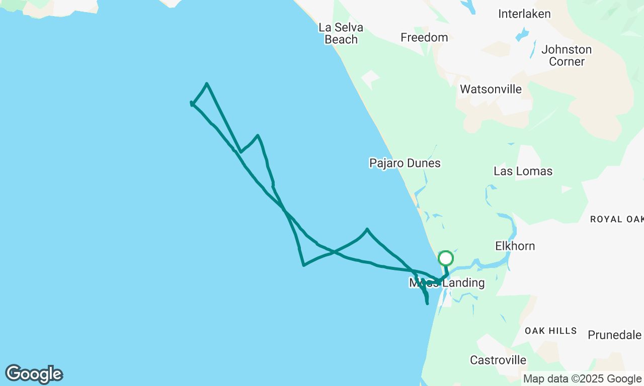 A try at “around the bay”