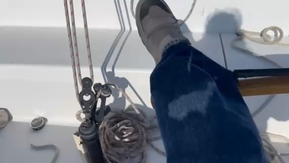Slacking on actual boat work, decided I’d rather spend the afternoon sailing a Capri_6FC1FC7A-E10D-4308-8F21-DD4C8CCC9958