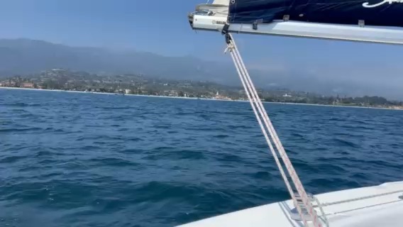 Slacking on actual boat work, decided I’d rather spend the afternoon sailing a Capri_7A9657F3-1A96-4ECE-B32A-90883F26D99D