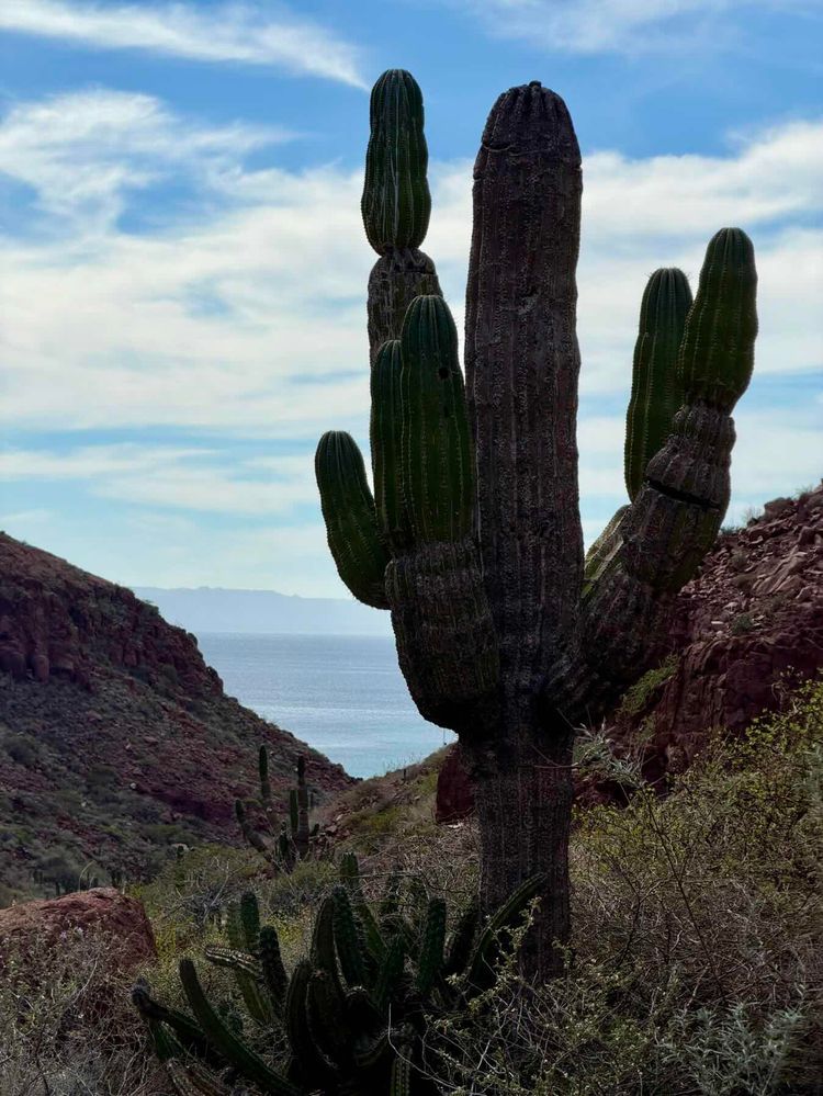 Voyage photo from San Evaristo to Ensenada Grande