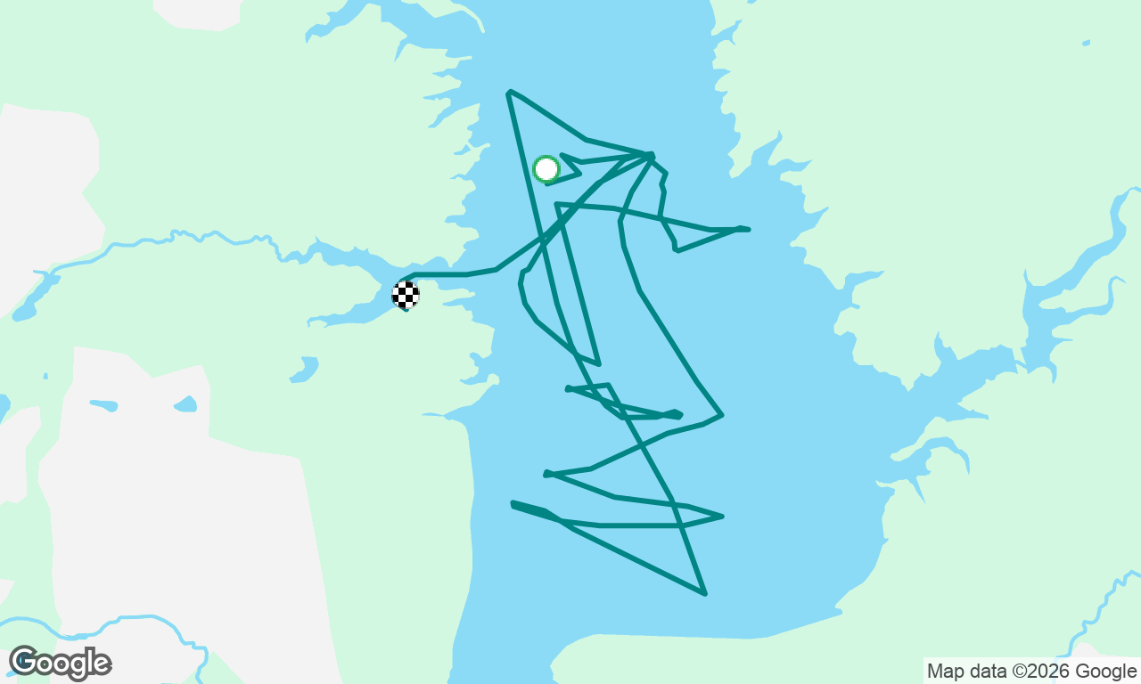 Saturday Sail