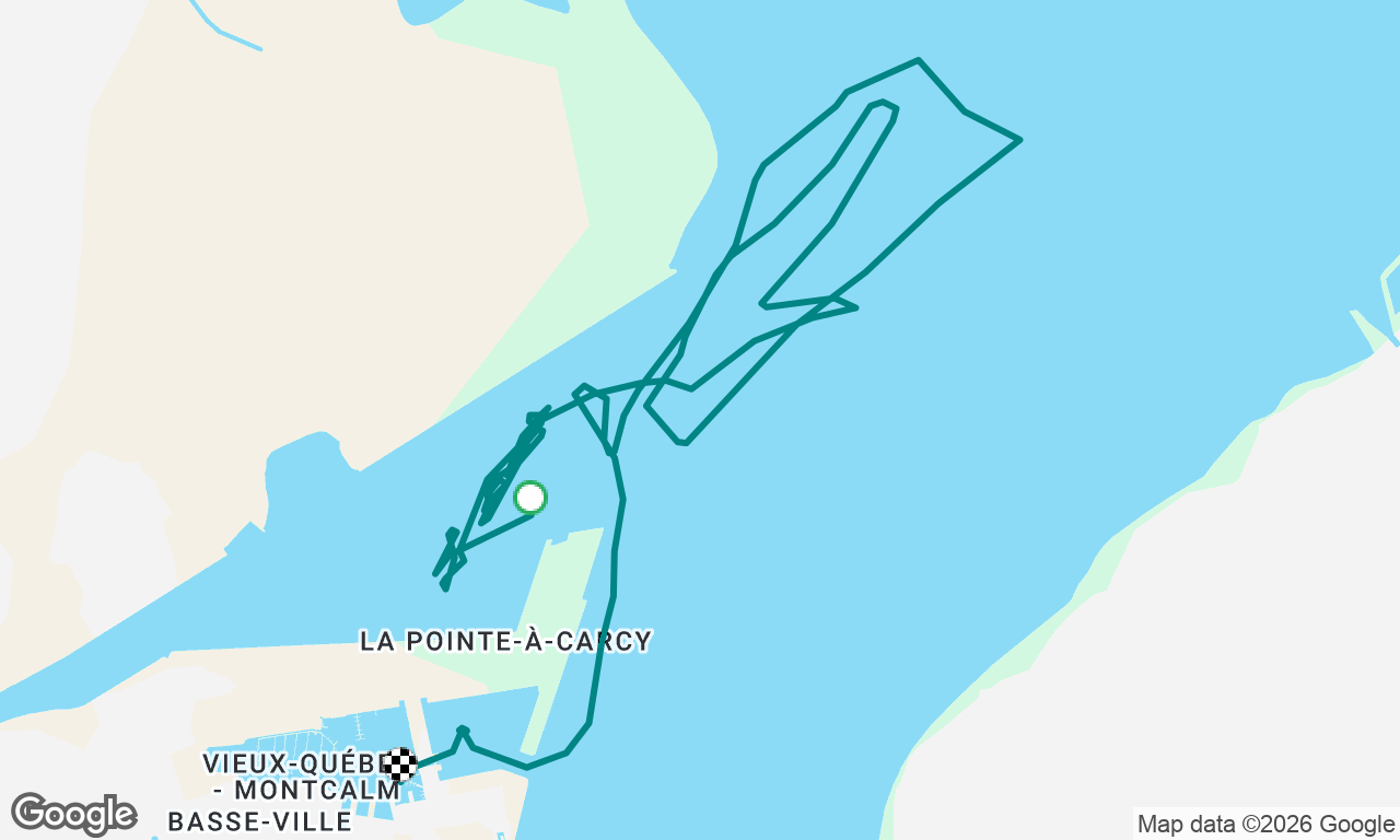 Sortie vpy