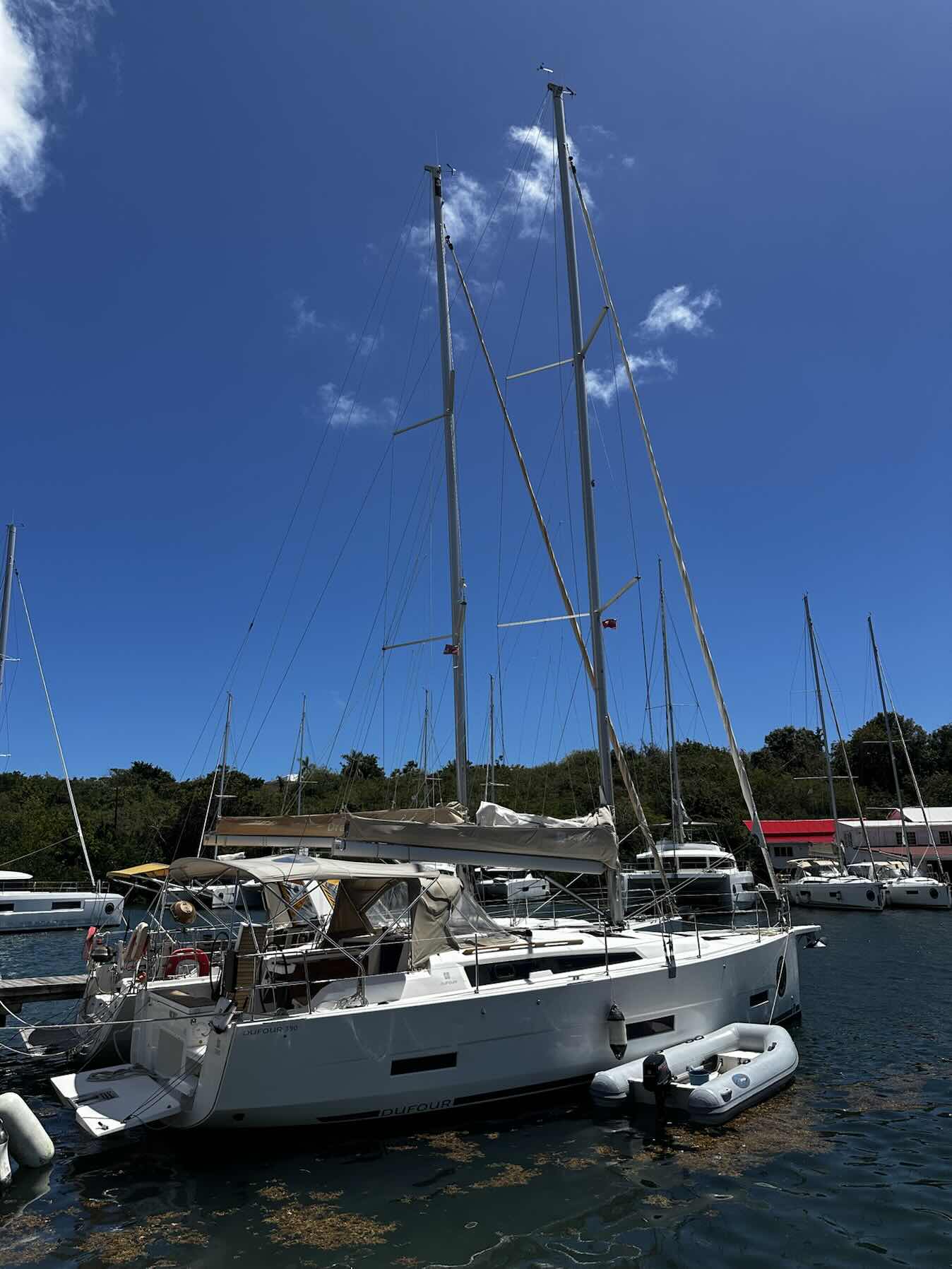 BVI DAY7 BCDE 20260320_0D6CD0FD-75E6-4584-9DFA-A058E6D697F5