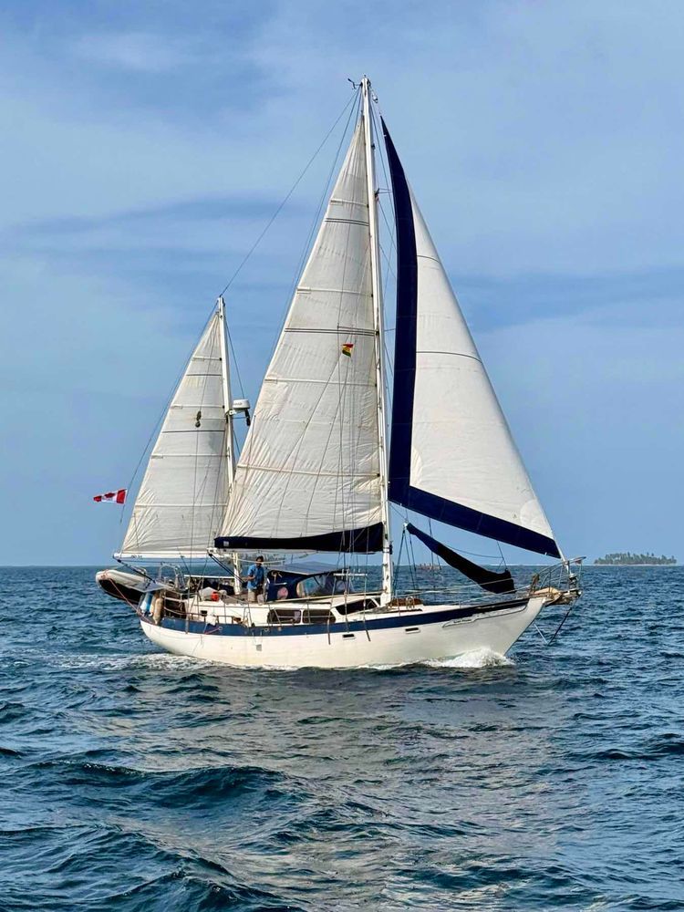 Voyage photo from Hot Tub to Green Island