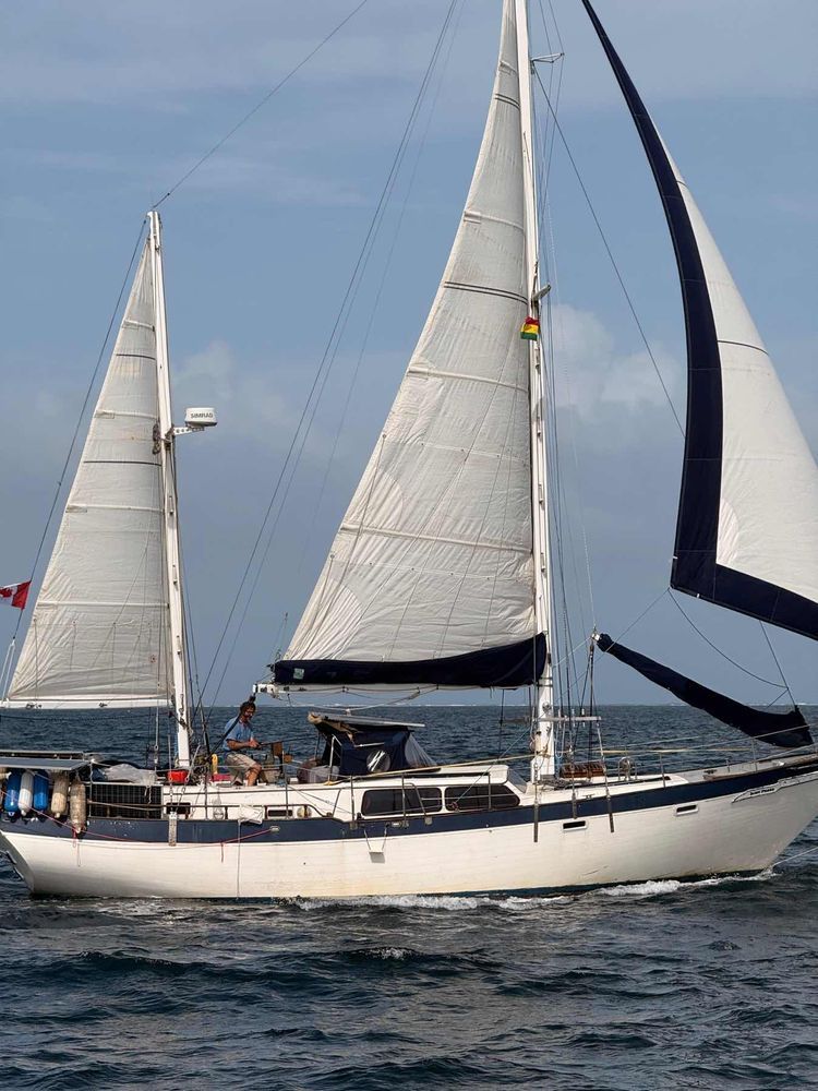 Voyage photo from Hot Tub to Green Island