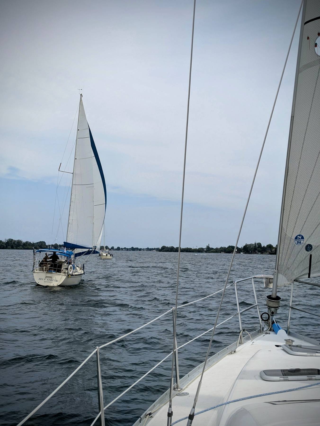 Course CVSF #3_D364C7A2-00CA-4AEF-990D-BDAD2BFF7D3F