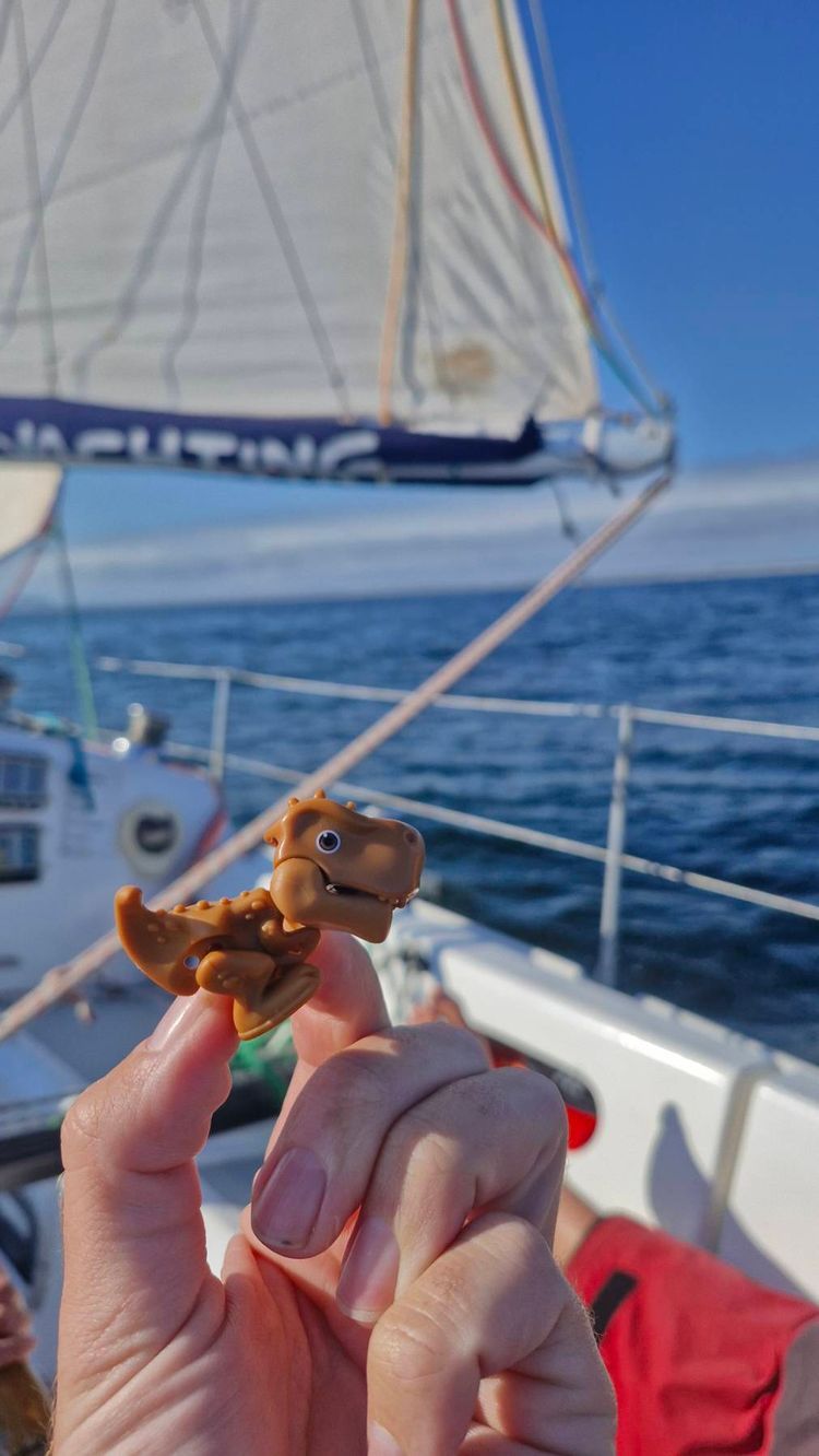 Voyage photo from Cape Town to Langabaan. ⛵️ 