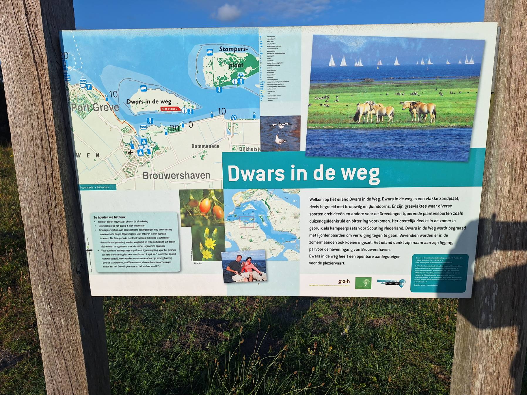 Bruinisse to Dwars in den Weg_A941434F-8612-4D0B-BA6C-50F0E698B18D