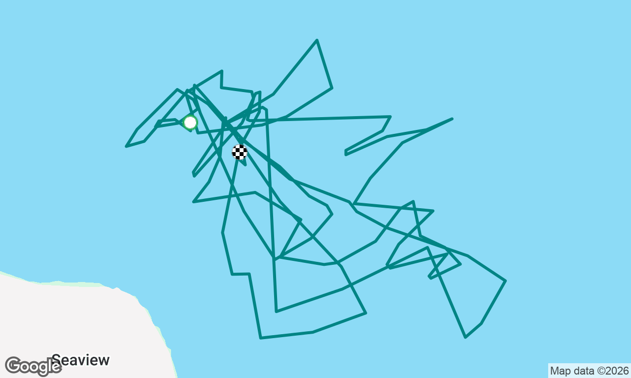 mermaid racing