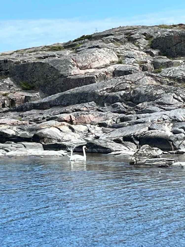 Voyage photo from Sparo to Stugvik