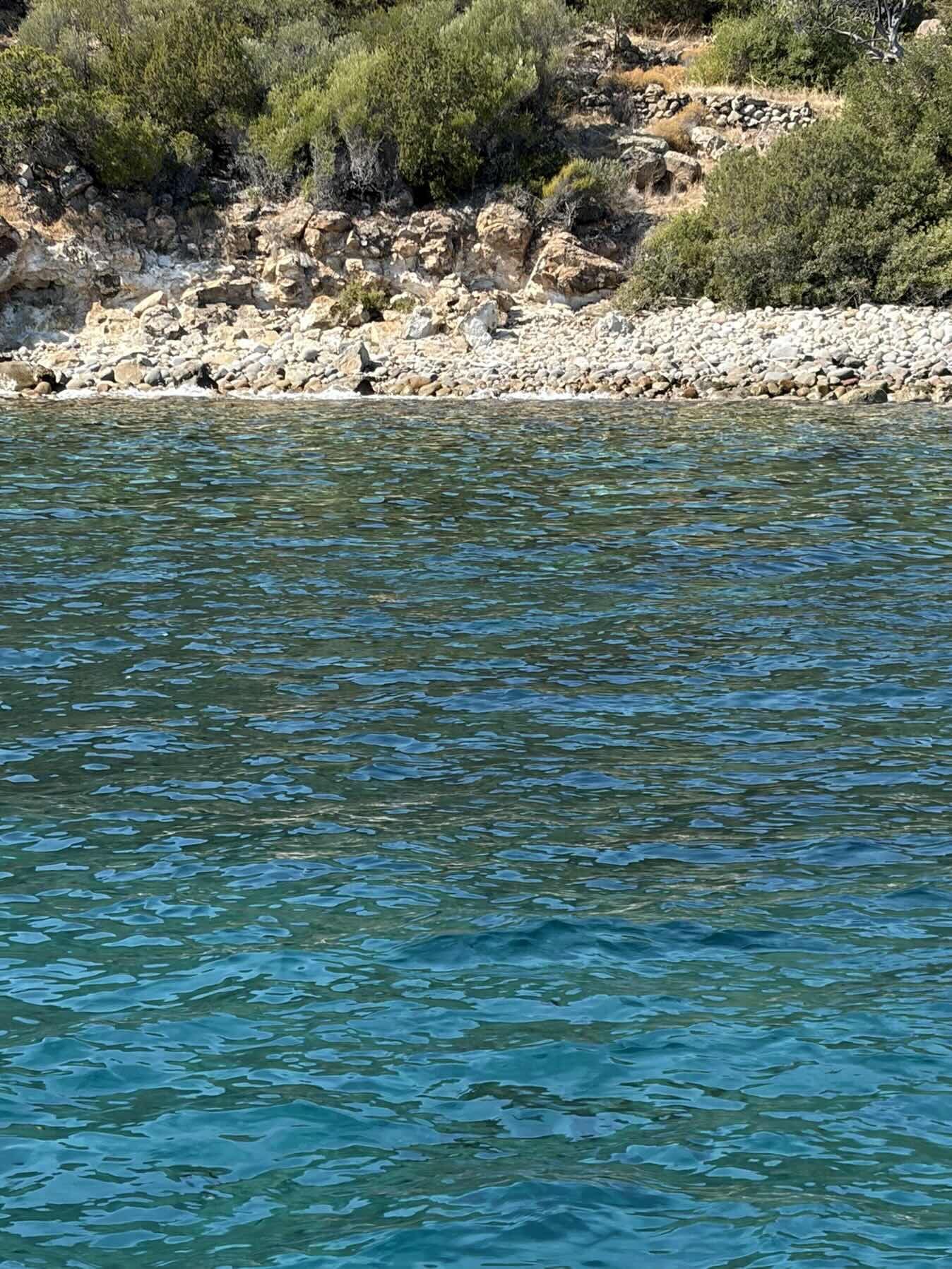 Agistri to Poros_7E0ABA0E-14CA-49CA-B3DF-CD25897A9106