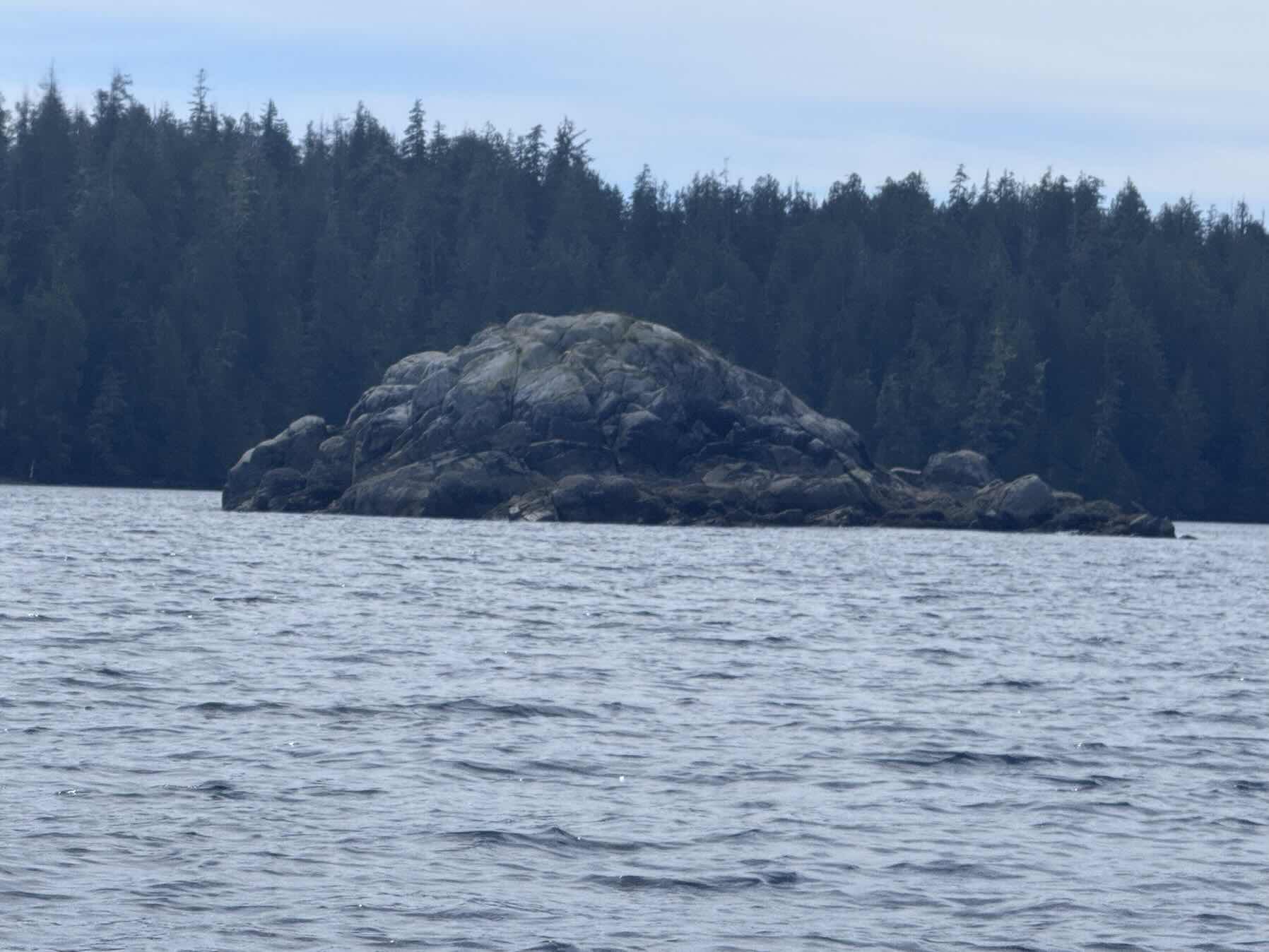 Uchuck to Nettle Island_5A6B6CA8-1140-4D5F-8575-0727F93DF3F8