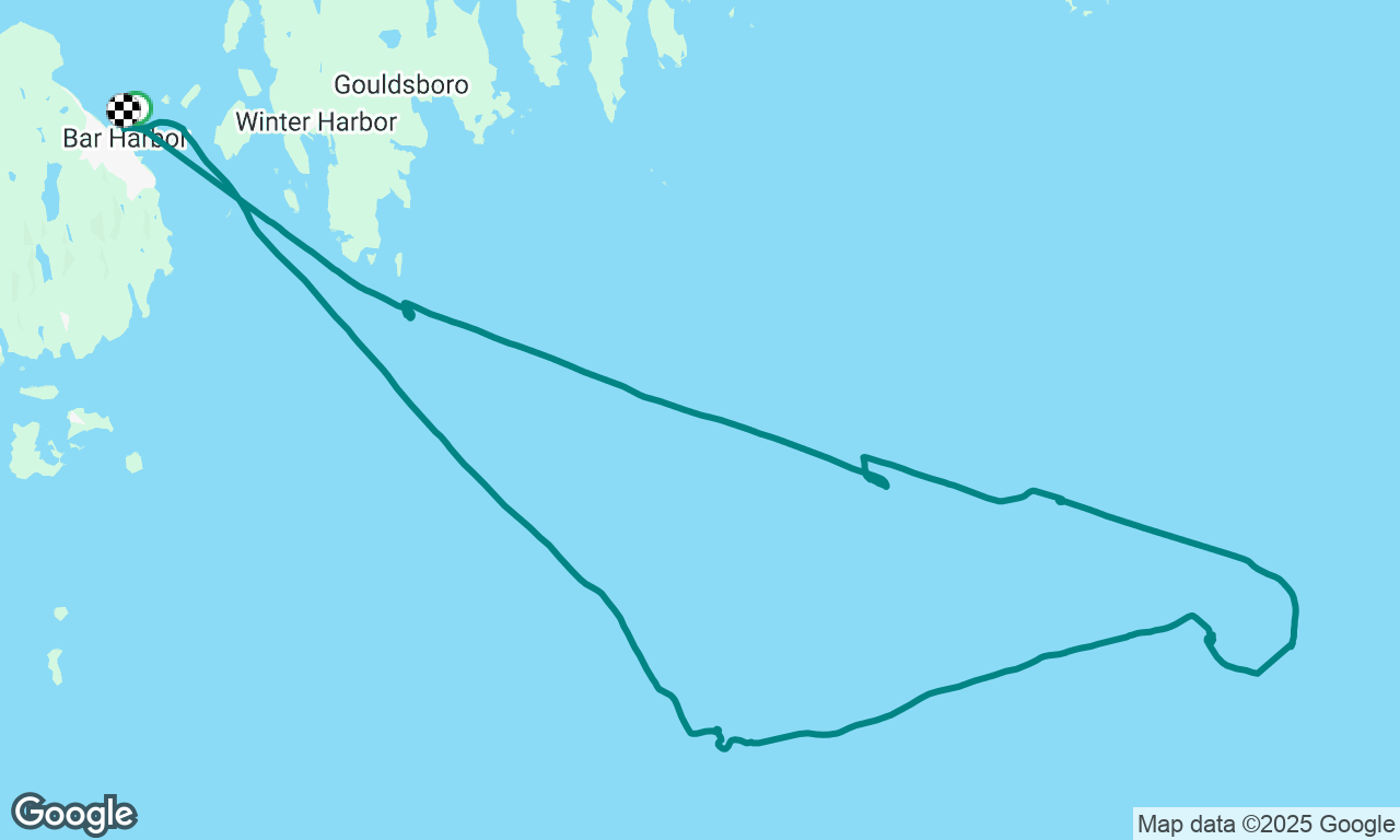 Whale watch