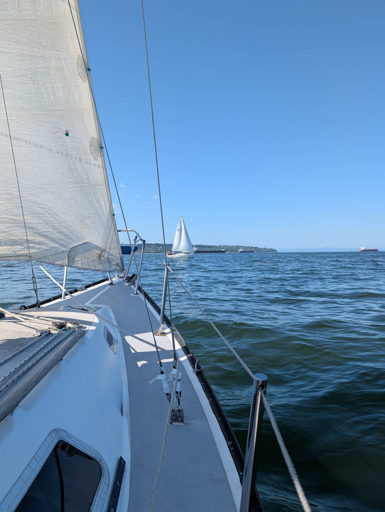 Regatta_EDCD39E8-C1DE-49F8-A535-ABC769BCBEC3
