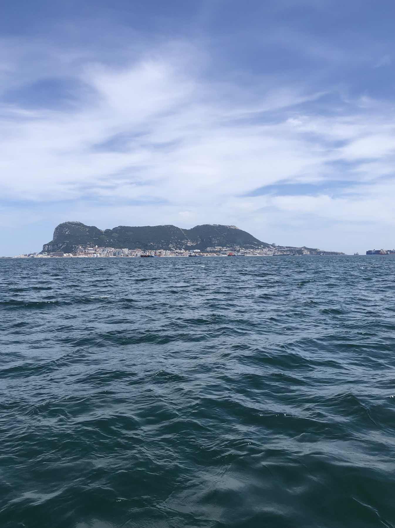 Bojangles M/Y Dolphin Spotting_356F5DB7-3FAF-4649-9AE2-EA8F7B1FB6FC